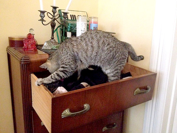It's gotta be in here somewhere ...