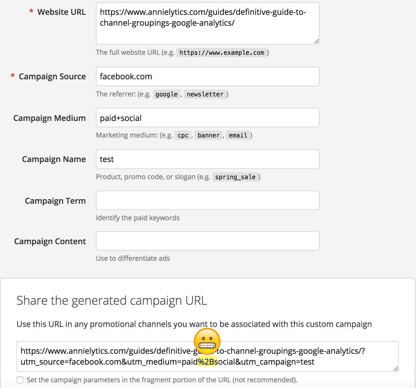 Google's URL Builder campaign tagging issue